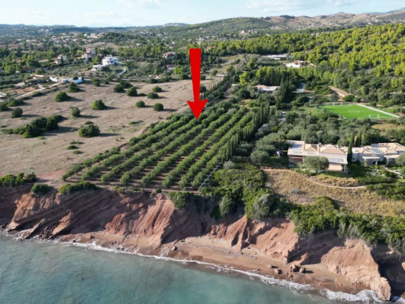 Magnifique terrain vue mer époustouflante