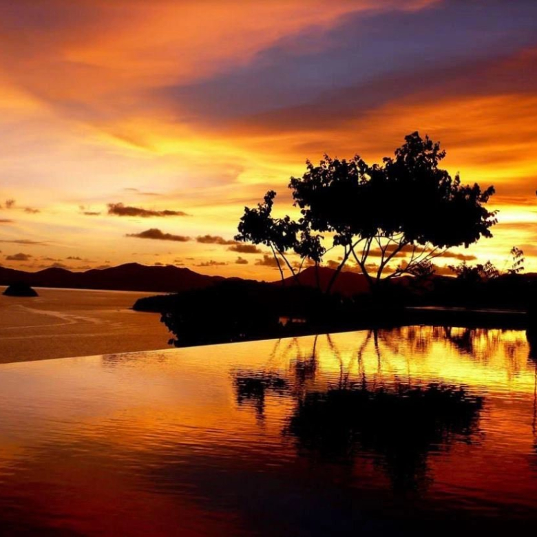 Beautiful villa located in Puerto Andratx