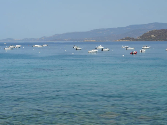 Vue sur une mer calme avec plusieurs bateaux au large, près de Calcatoggio.