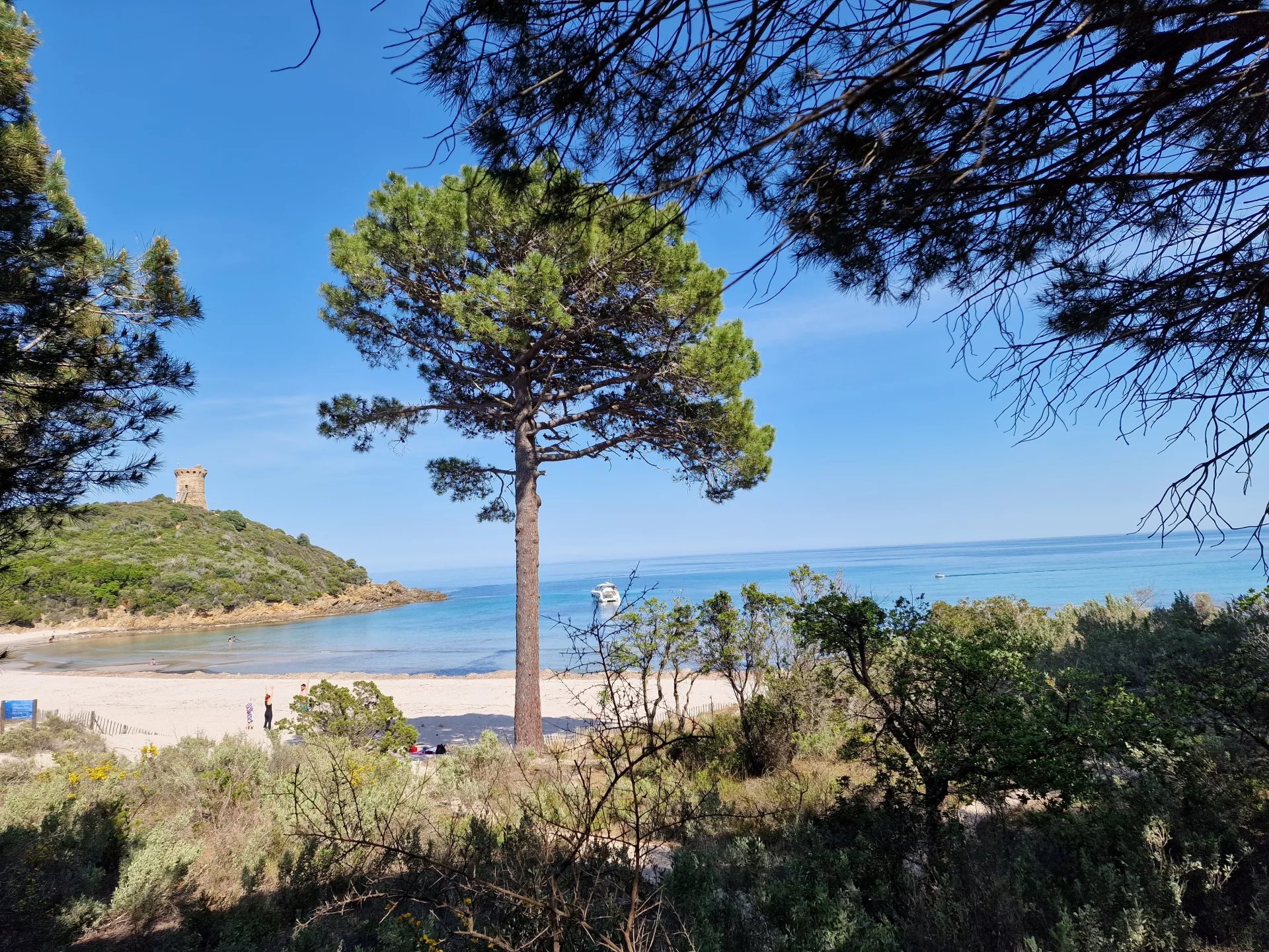 Plage de Fautea Vue de la plage de Fautea avec des arbres et une tour au loin.