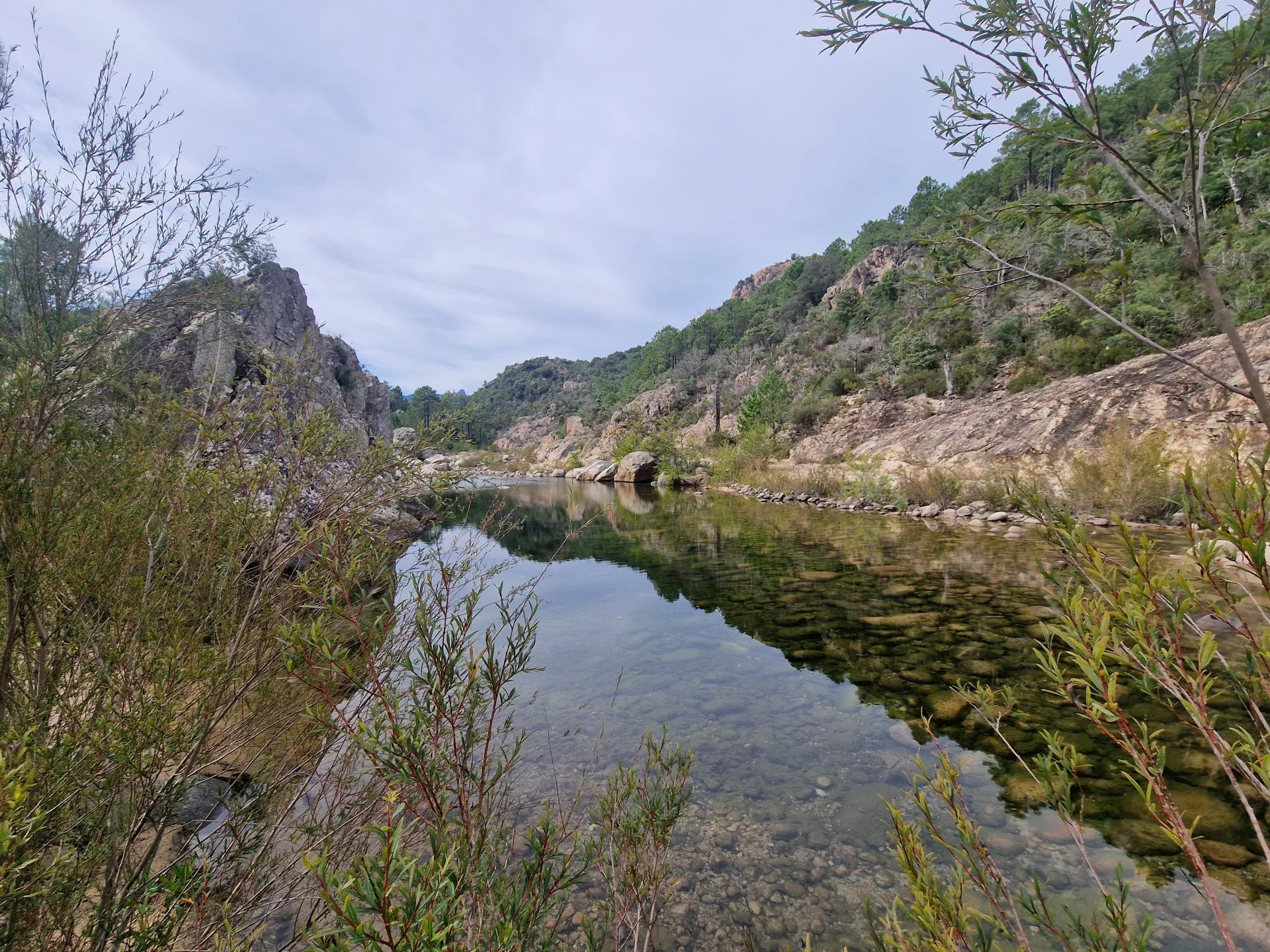 Cours d’eau près de Bavella Vue d'un cours d'eau entouré de rochers et de végétation, près de Bavella.