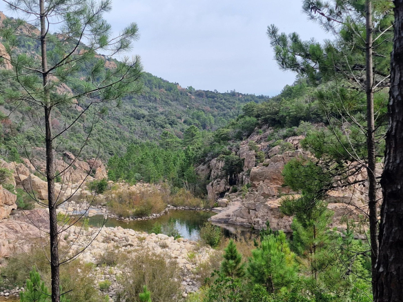 Vue d'un paysage naturel avec des rochers et des arbres, près de Solenzara.