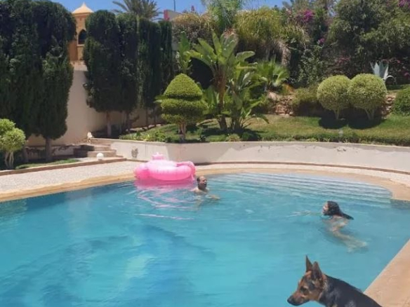 Piscine de villa avec des personnes et un chien, entourée de verdure à Illigh, Agadir.