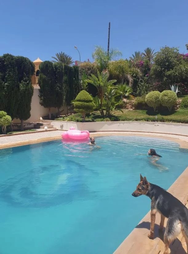 Piscine de la villa à Illigh Piscine de villa avec des personnes et un chien, entourée de verdure à Illigh, Agadir.