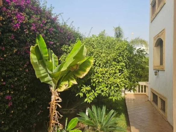 Jardin avec plantes tropicales et fleurs près d'une villa à Illigh, Agadir.