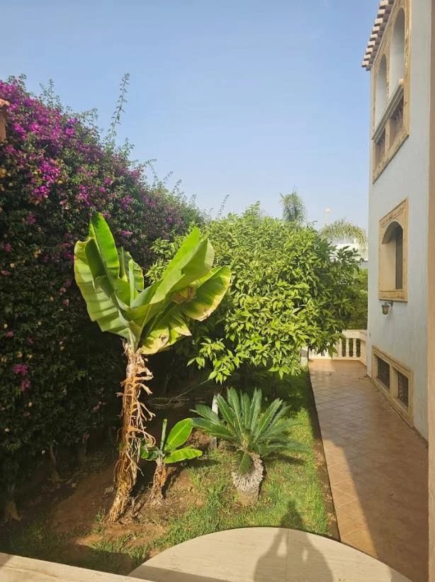 Jardin de la villa à Illigh Jardin avec plantes tropicales et fleurs près d'une villa à Illigh, Agadir.