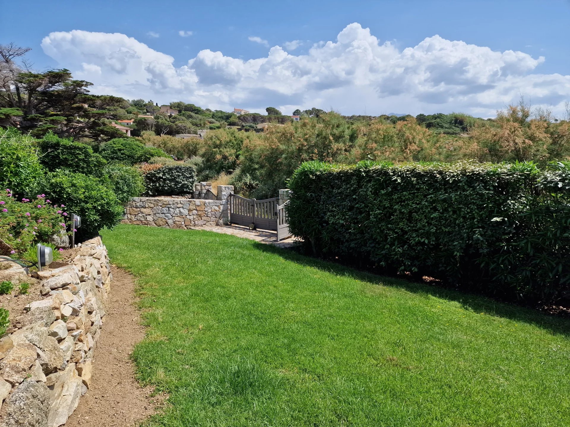 Jardin de la propriété à Corbara Jardin arboré avec pelouse et murets en pierre à Corbara, vue sur la nature environnante.