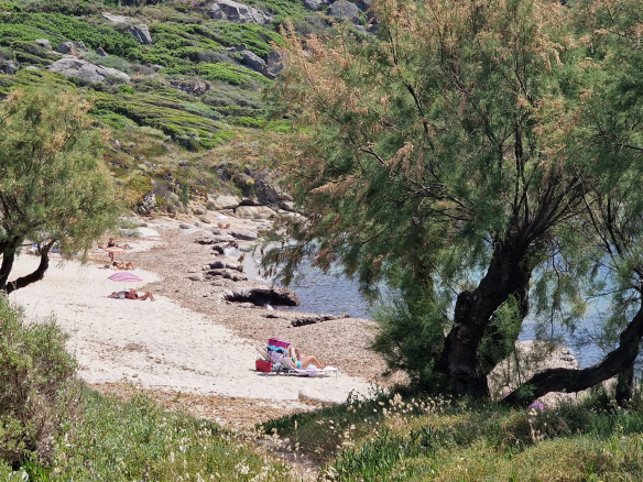 Plage avec des baigneurs et des rochers, entourée de végétation à Corbara.
