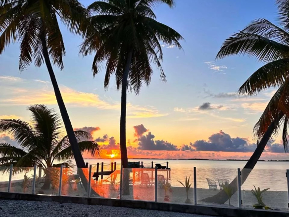 Coucher de soleil sur l'île de Takapoto avec des palmiers et une plage.