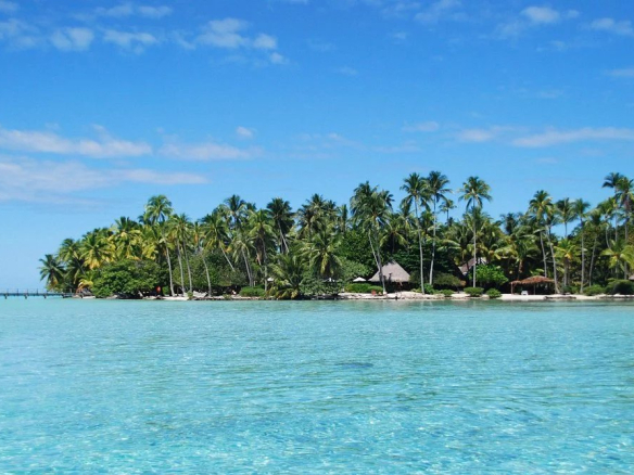 Vue d'une île tropicale avec des palmiers et une eau turquoise, probablement à Takapoto.