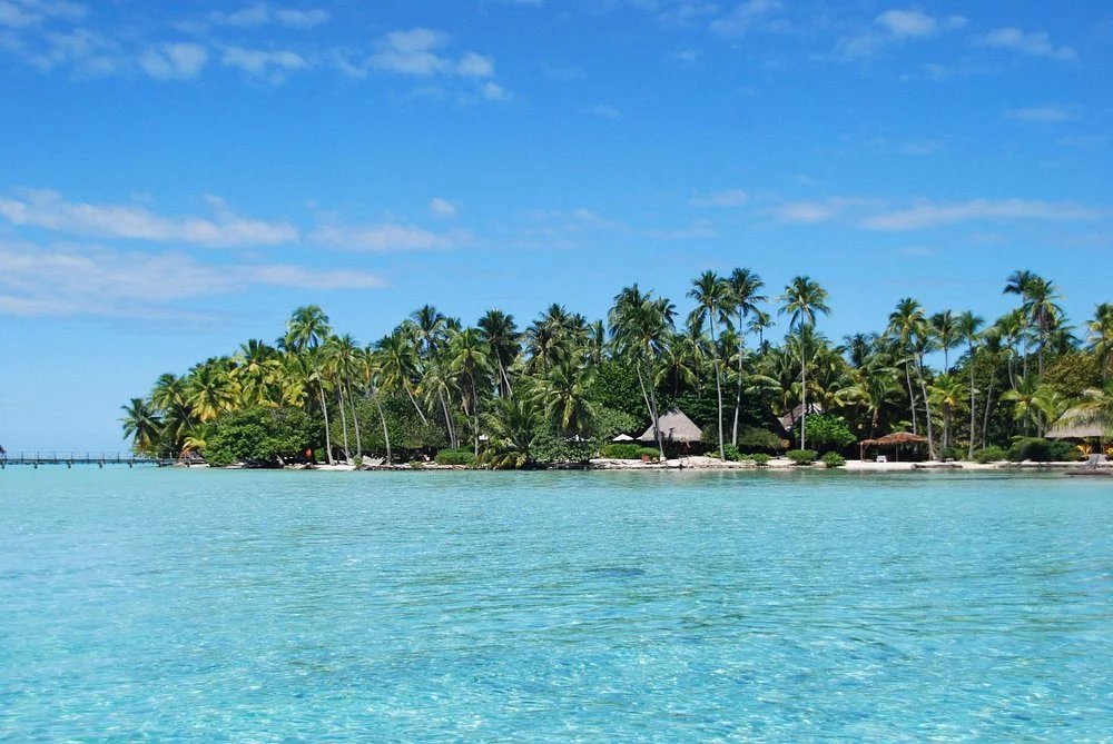Vue d'une île tropicale avec des palmiers et une eau turquoise, probablement à Takapoto.