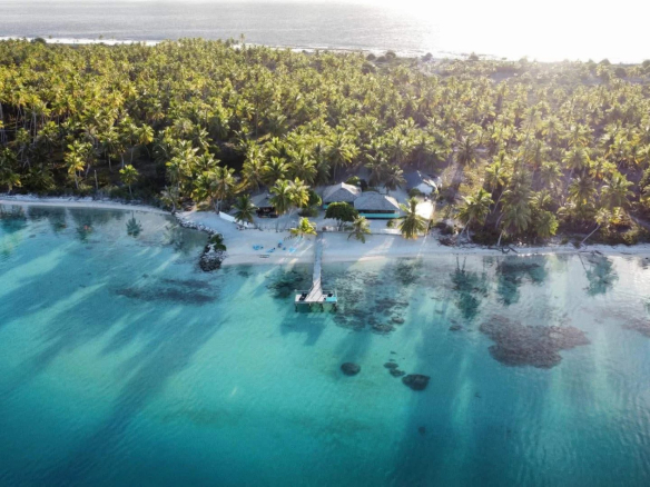 Vue aérienne de l'île de Takapoto avec des palmiers et une plage au bord de l'eau.