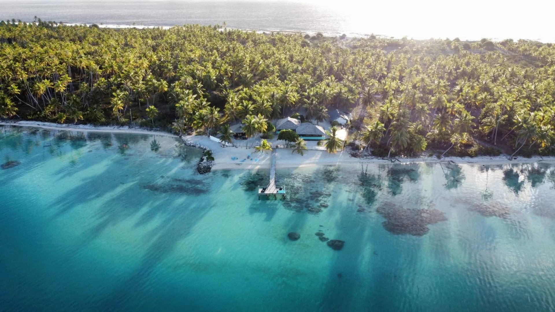 Vue aérienne de l'île de Takapoto avec des palmiers et une plage au bord de l'eau.