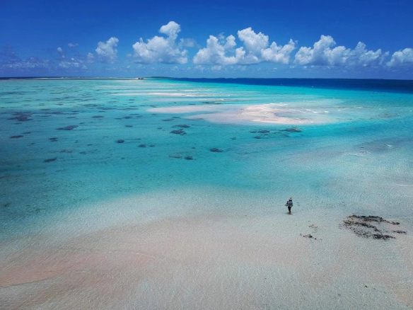 Vue aérienne d'une plage de sable blanc et d'eau turquoise à Tikehau, Polynésie française.