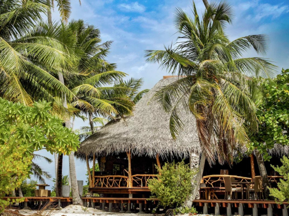 Éco-lodge de luxe avec toit en chaume entouré de palmiers sur une île privée à Tikehau, Polynésie française.