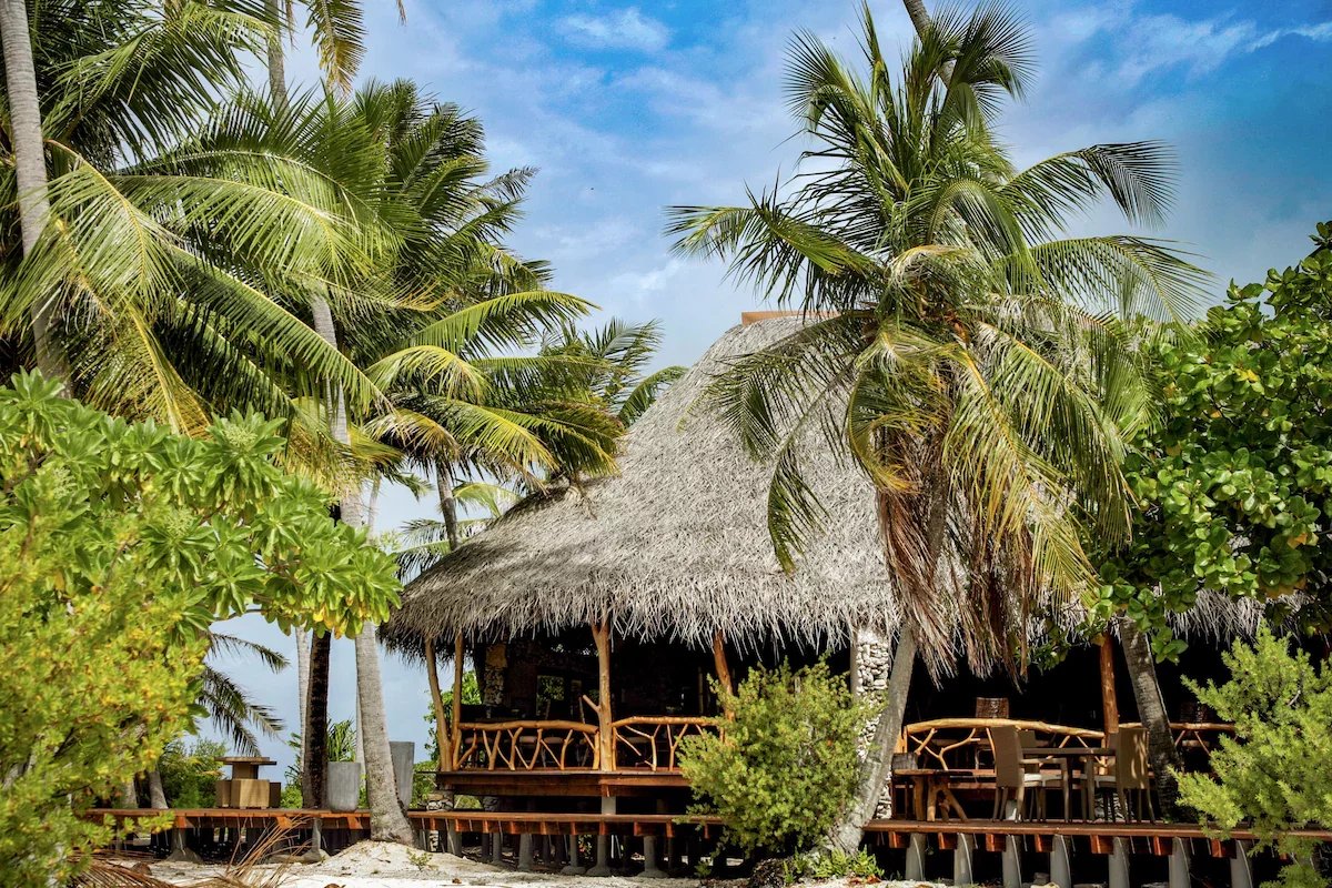 Éco-lodge de luxe à Tikehau Éco-lodge de luxe avec toit en chaume entouré de palmiers sur une île privée à Tikehau, Polynésie française.