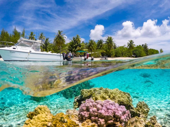 Vue sous-marine d'un récif corallien avec un bateau au-dessus, Tikehau, Polynésie française.