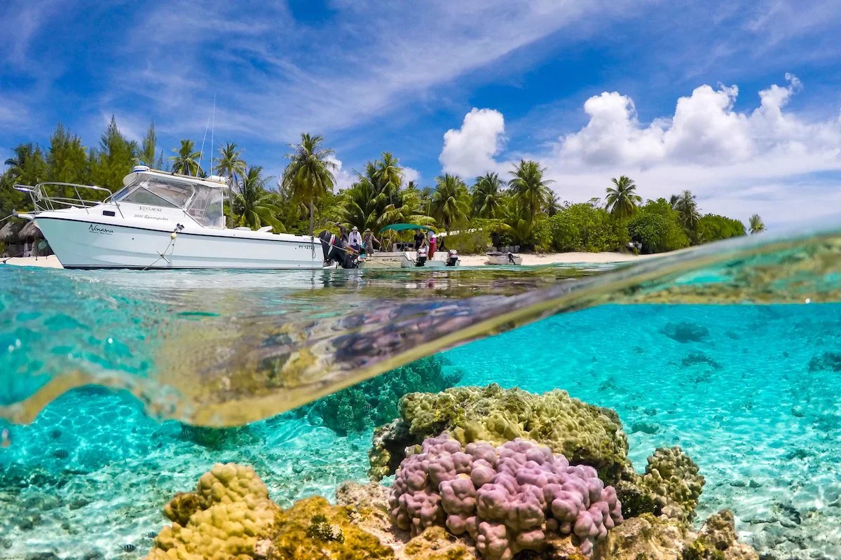 Récif corallien à Tikehau Vue sous-marine d'un récif corallien avec un bateau au-dessus, Tikehau, Polynésie française.