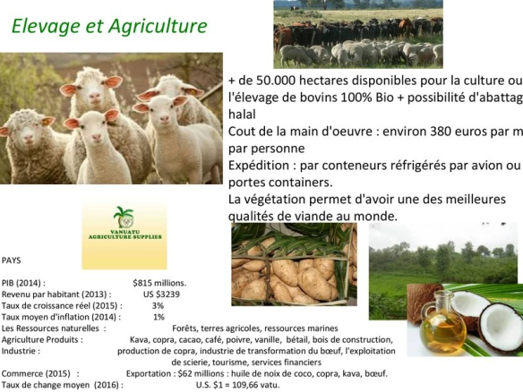 Dossier sur un terrain de 63 hectares au Vanuatu, avec des informations économiques et géographiques.