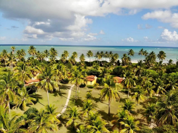 Hôtel en bord de mer à vendre à Paradise – Alagoas