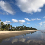 Magnificent building land of 4 hectares with house on the edge of ITACARE Beach (BAHIA BRAZIL)