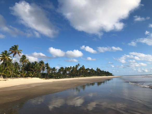 Magnificent building land of 4 hectares with house on the edge of ITACARE Beach (BAHIA BRAZIL)