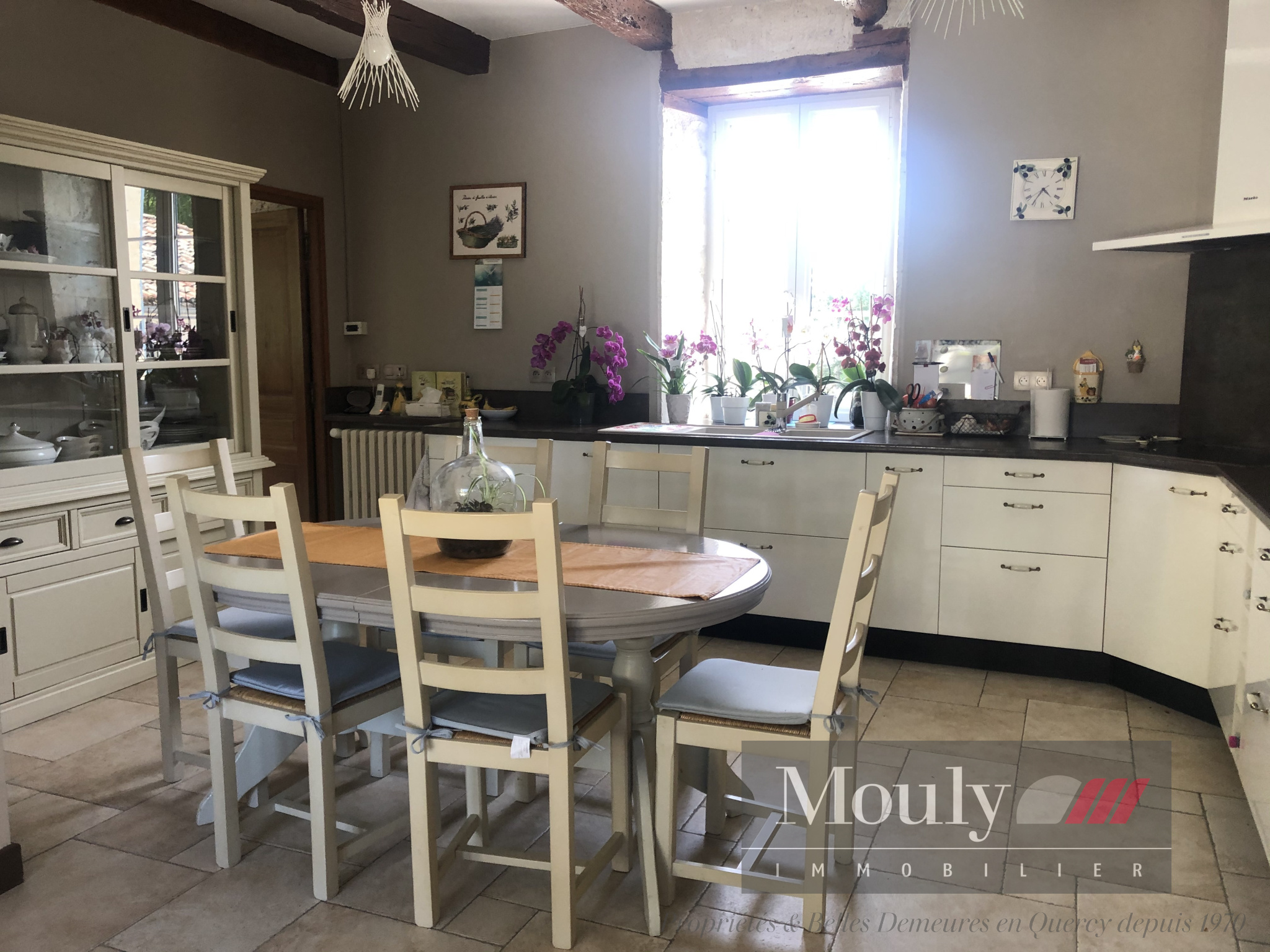 photo_0ae3a999e4952fe42a67c94b1b5f10c0