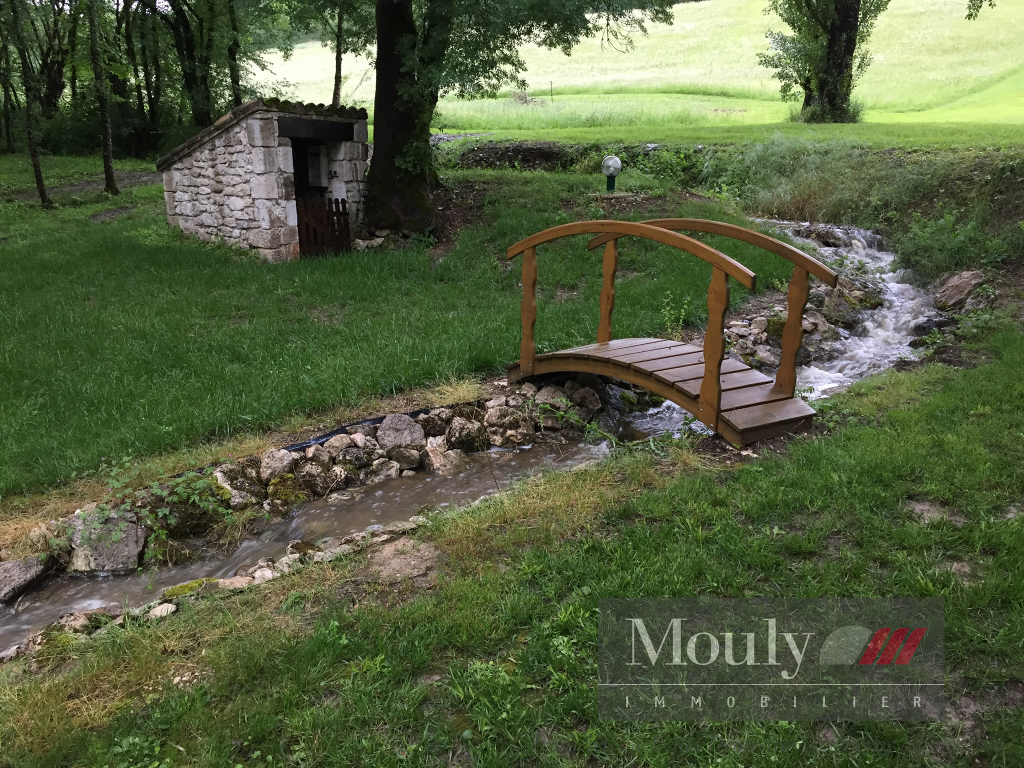 photo_2cc761450e2328c26a80ec9ccebe4e5a