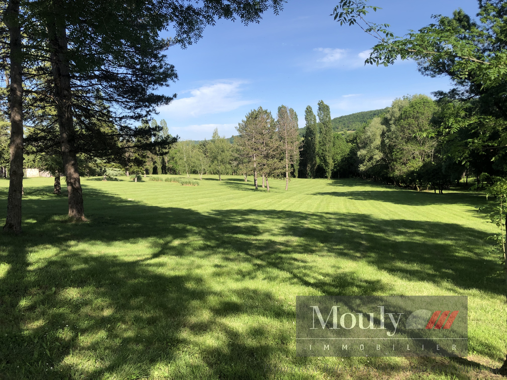 photo_85e56761402b8f95209747d6506136b7