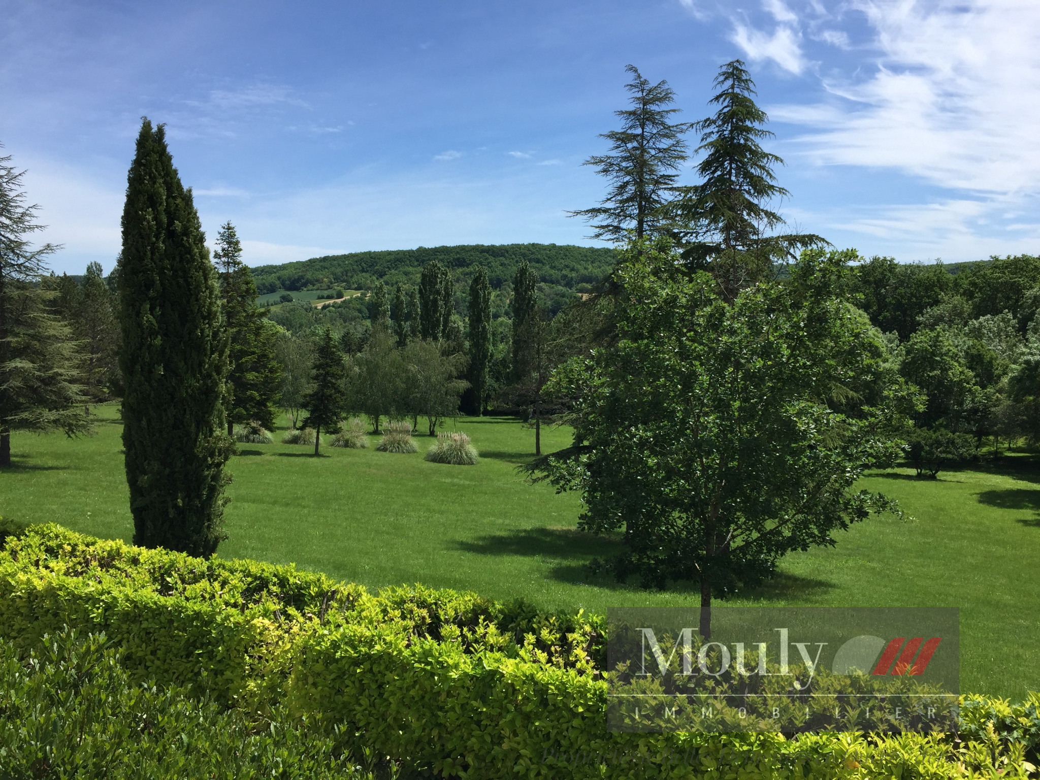 photo_a1b98fc9eef2682efc933d2dae1121b5