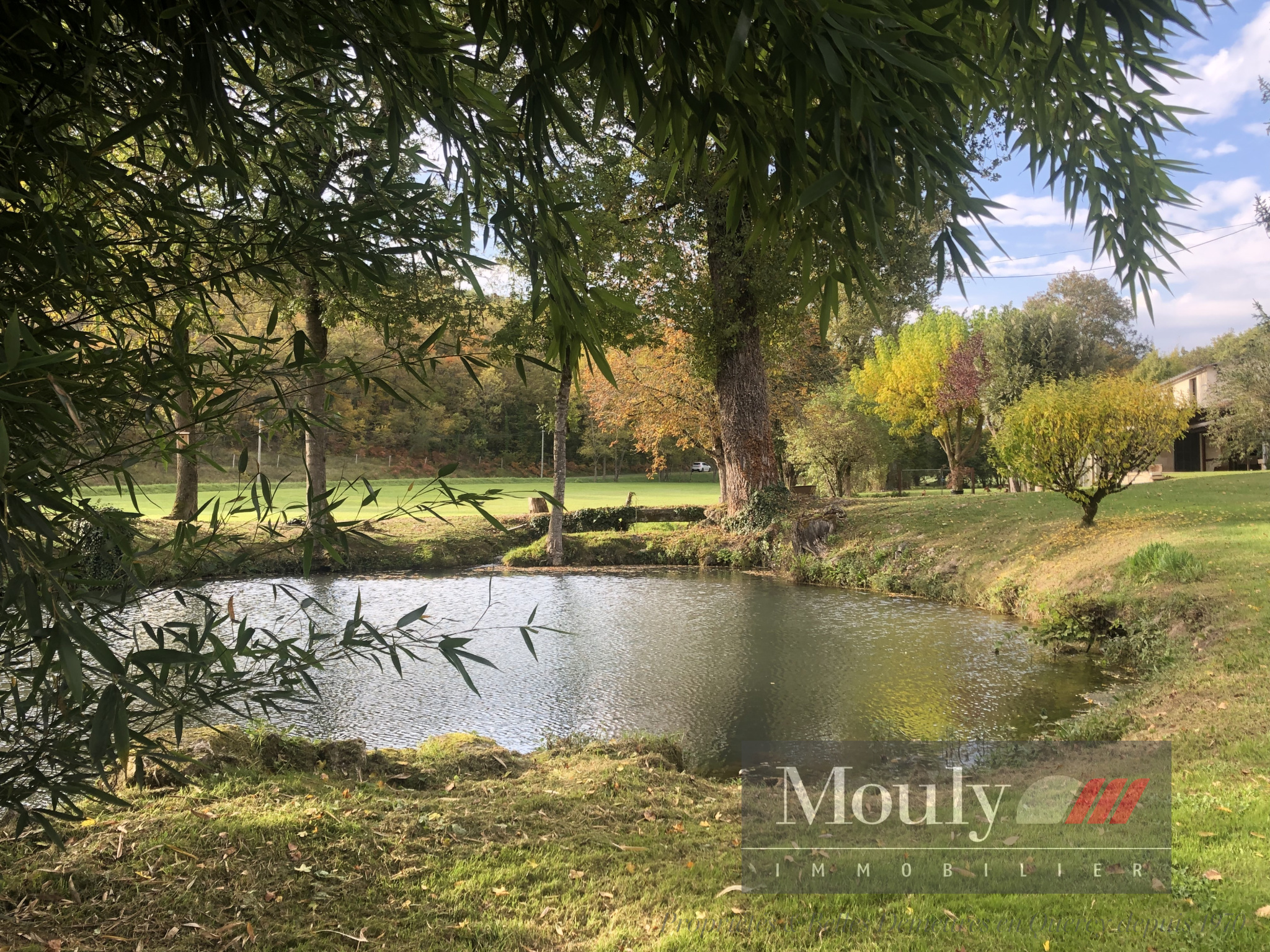 photo_31b65b6c3dbba73244f4a4f94629feb2