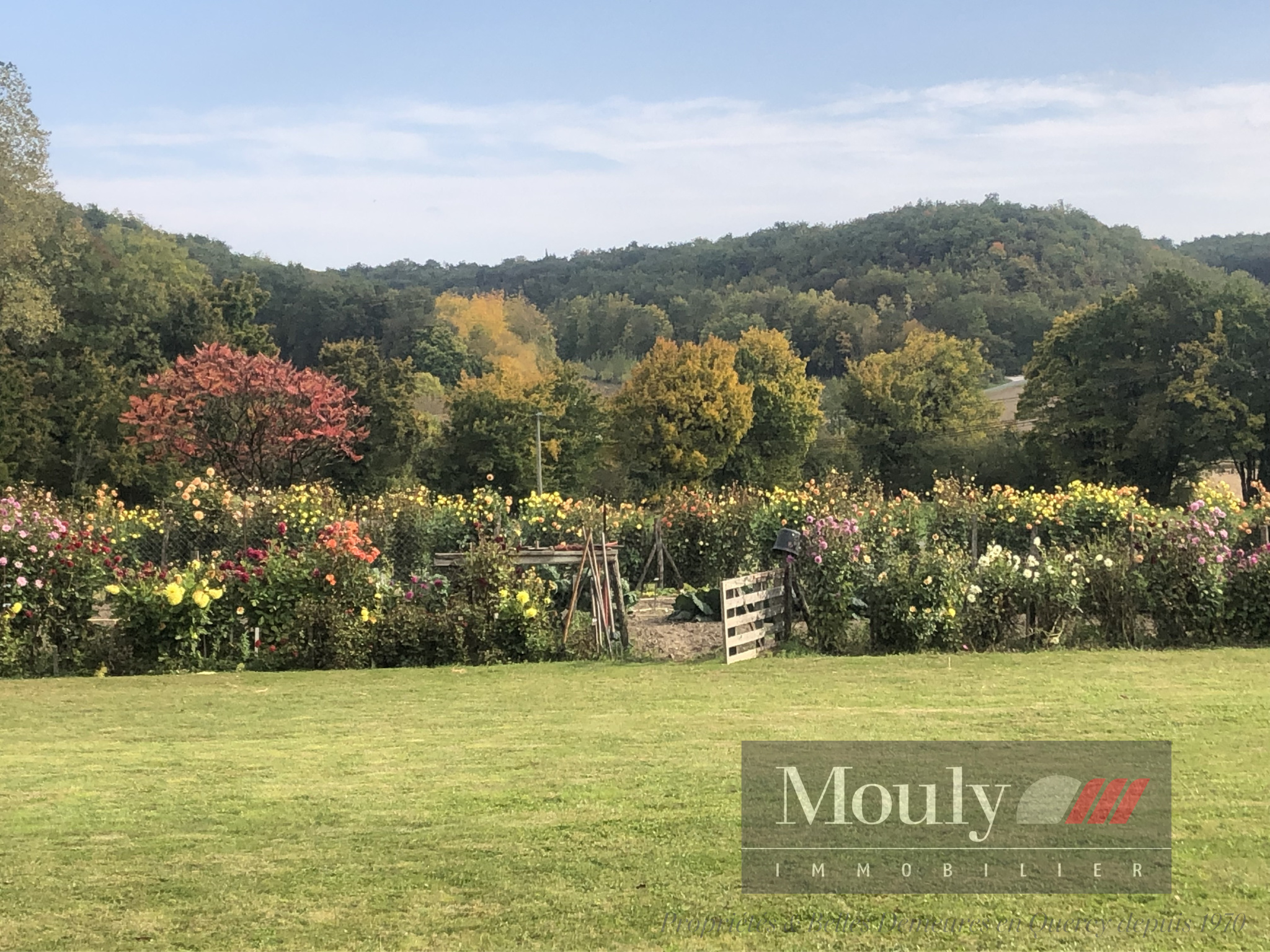 photo_629e142a5d96ec39406492edb9b8597a