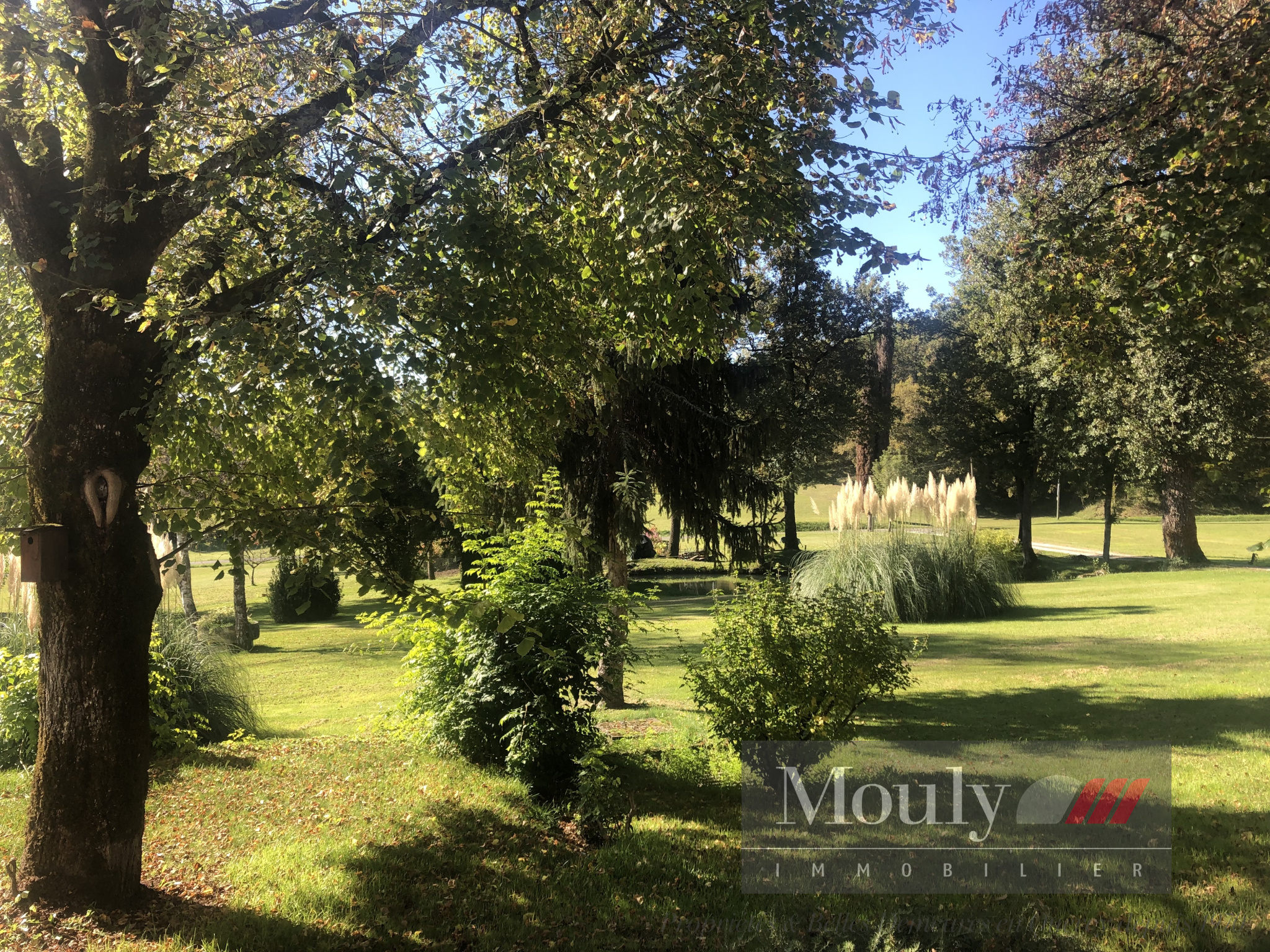 photo_883e230b1a517854ed6b9b9fabf2533a