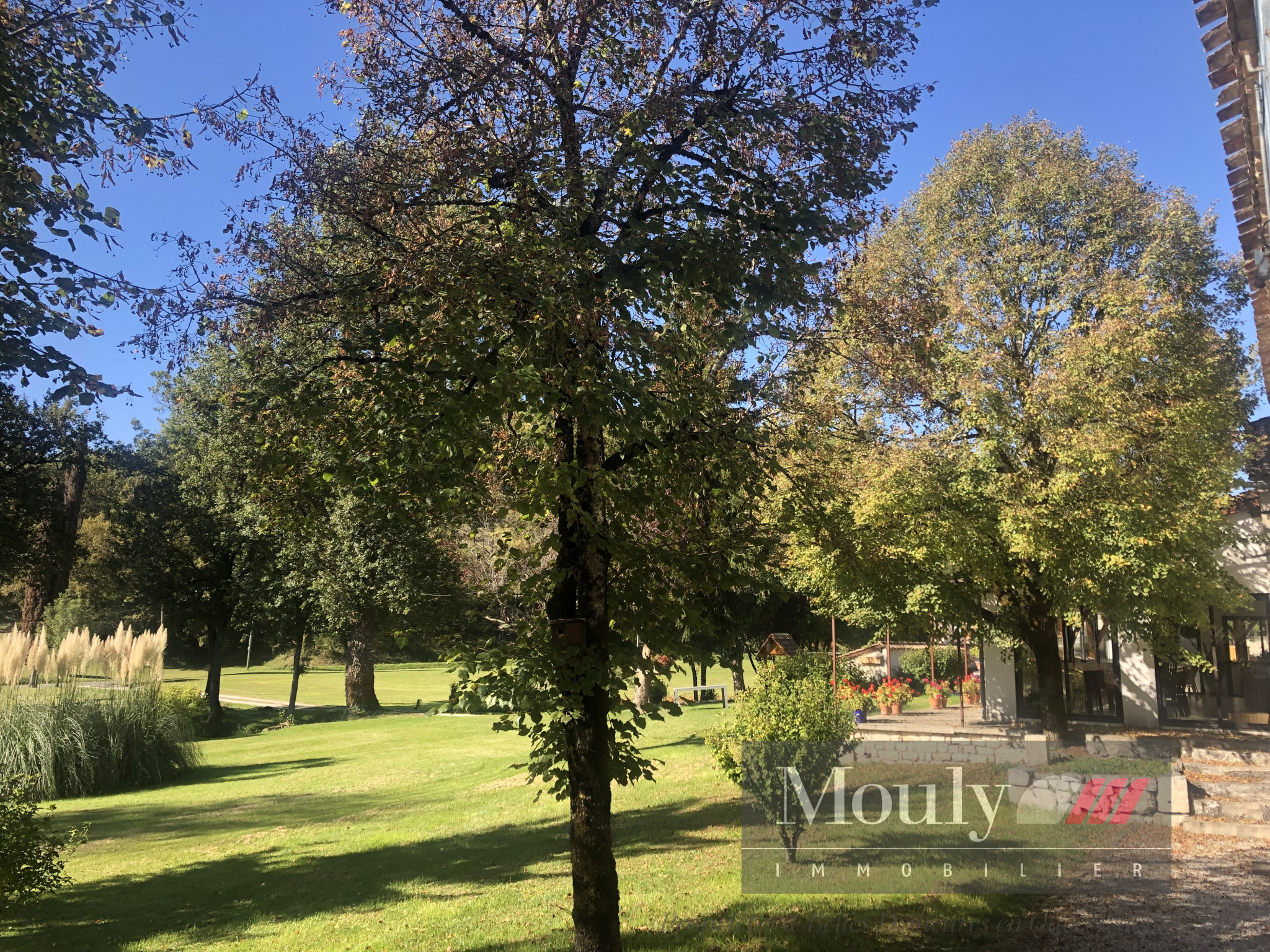 photo_d2e30d13dee94a0d6f52c3e329d8b977