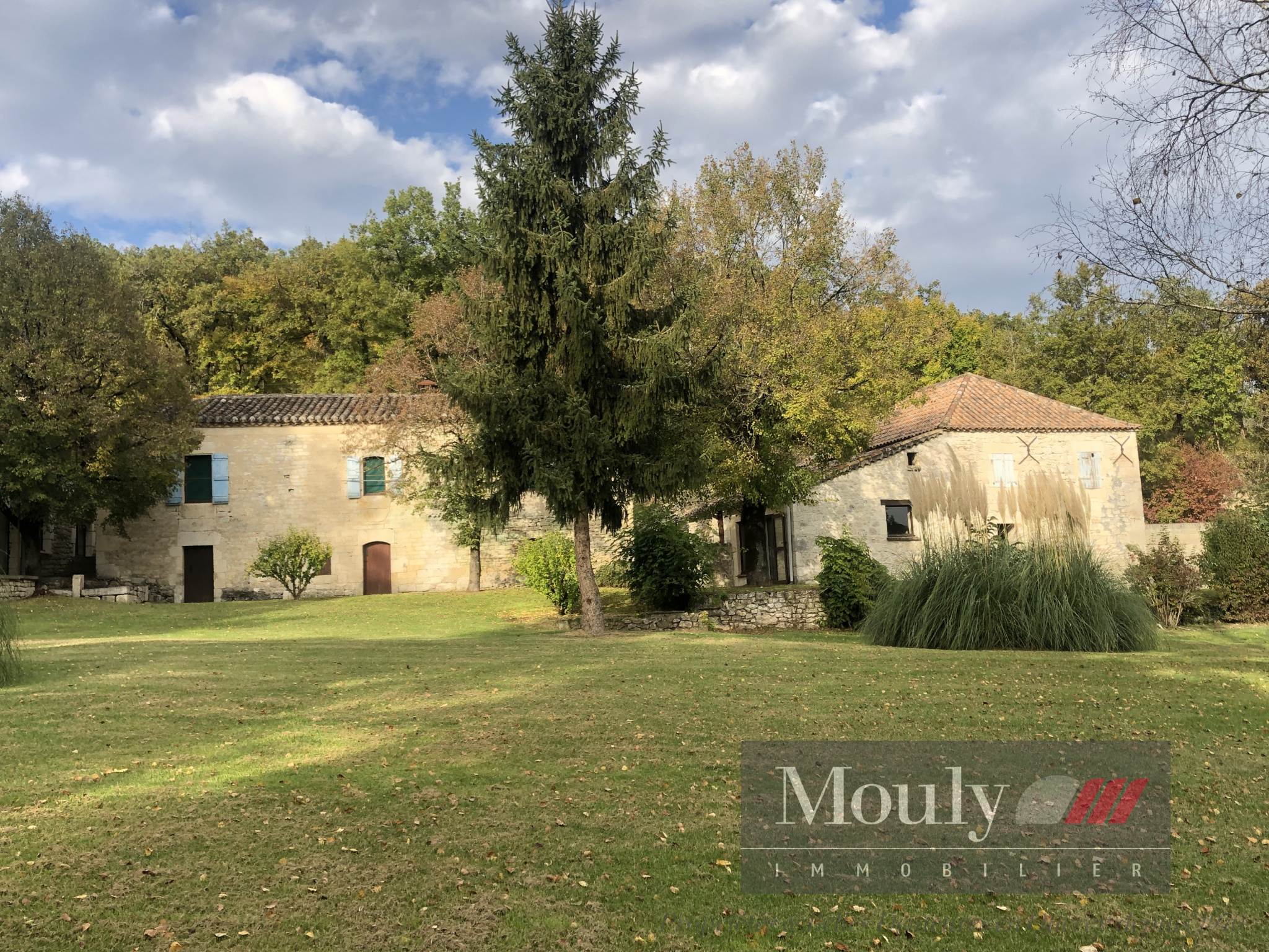 photo_e846e3bbb00ef41421967d01e6290482