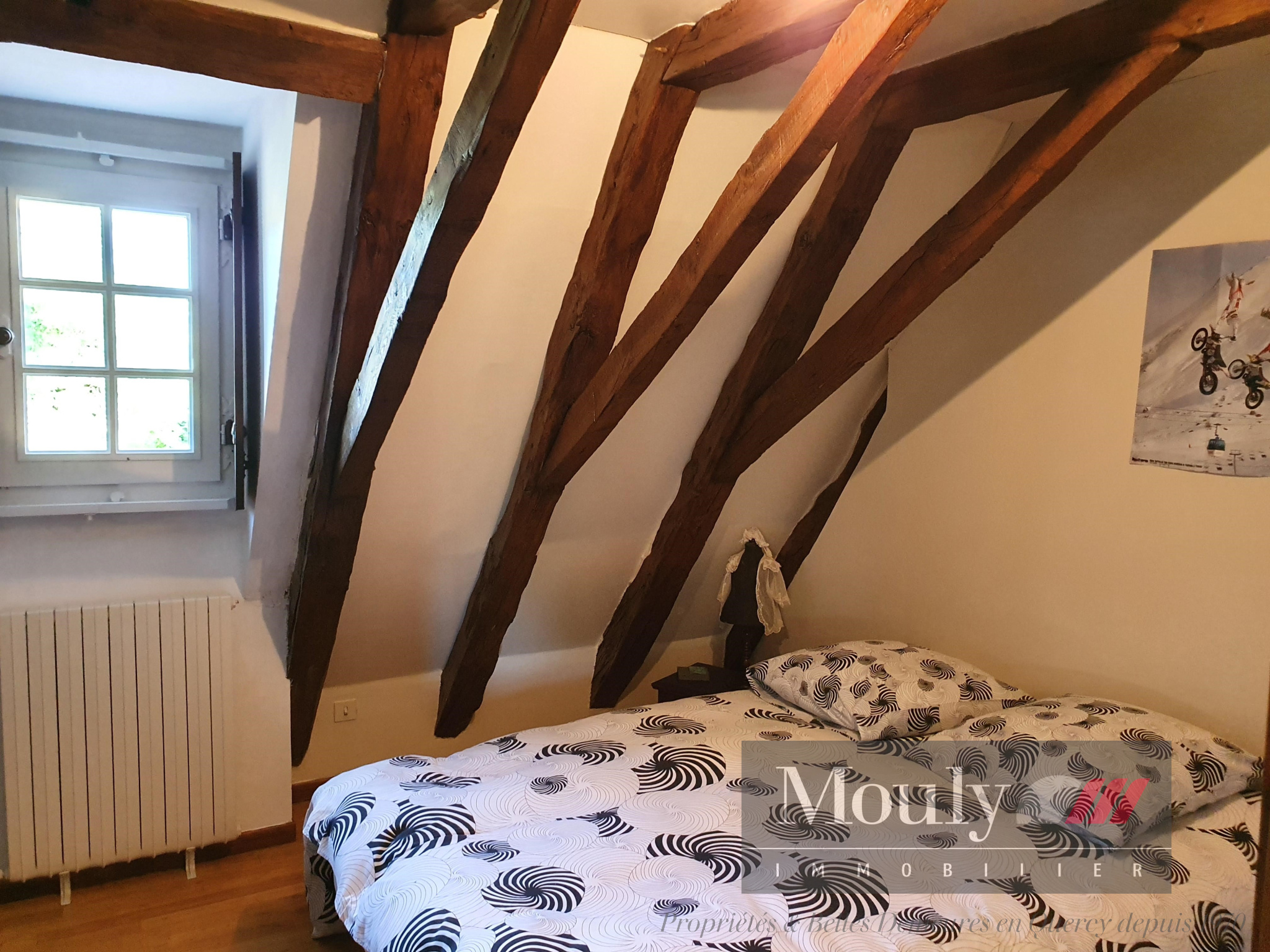 photo_e6e21bf9fccf51b5ed1a8eaaf07d36d7