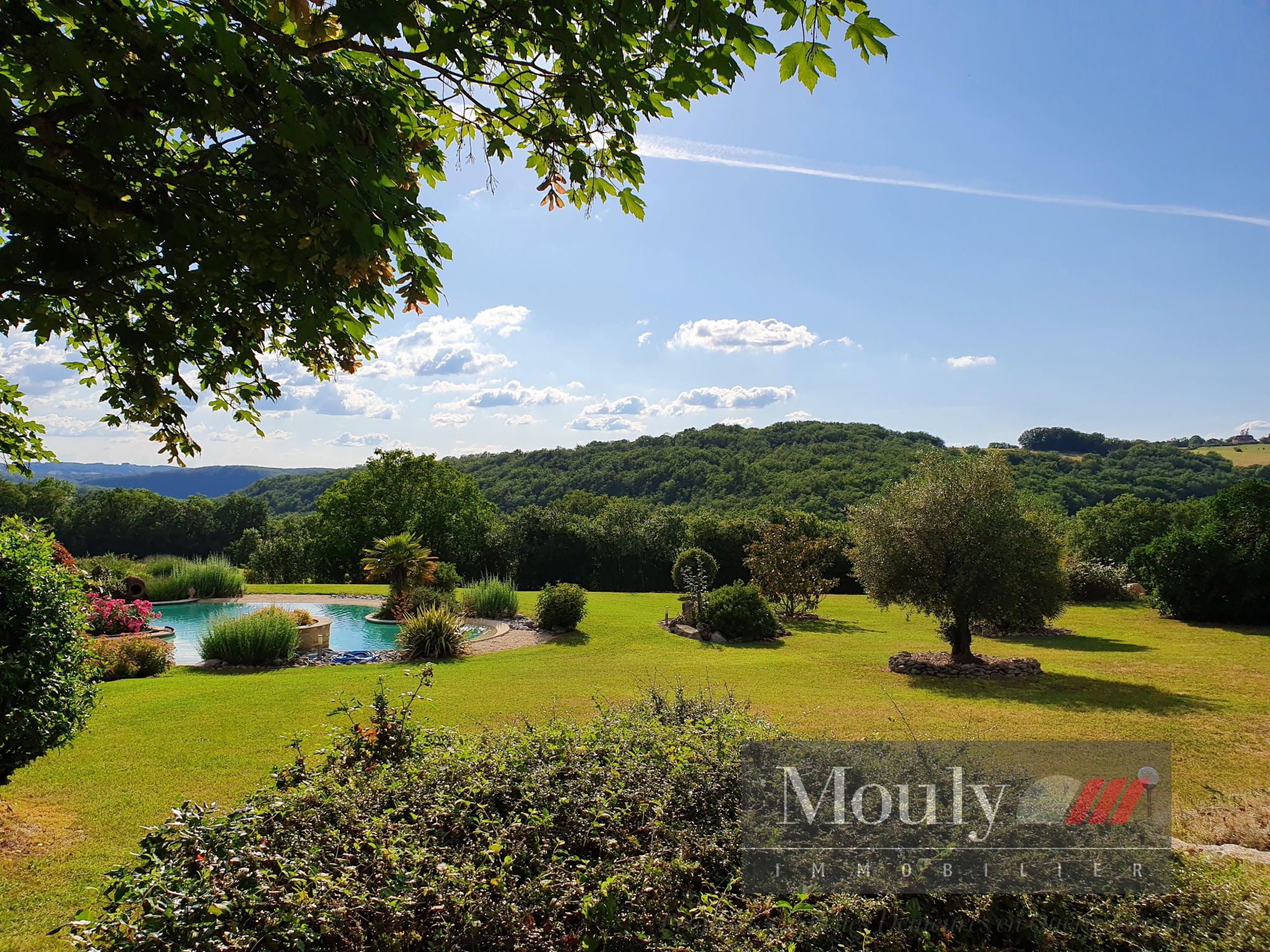 photo_eafccd7e796300ac9b9fb7504619321e