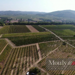 VIGNOBLE AU COEUR DE LA VALLE DES VIGNOBLES EN CAHORS AOC