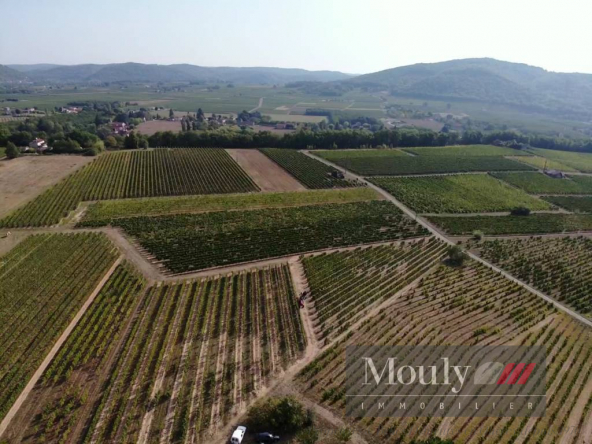 VIGNOBLE AU COEUR DE LA VALLE DES VIGNOBLES EN CAHORS AOC