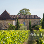 PROPRIETE EN CAHORS AOC CERTIFIEE EN BIO  AVEC MAISON PRINCI