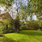 For sale large family home with professional or rental potential