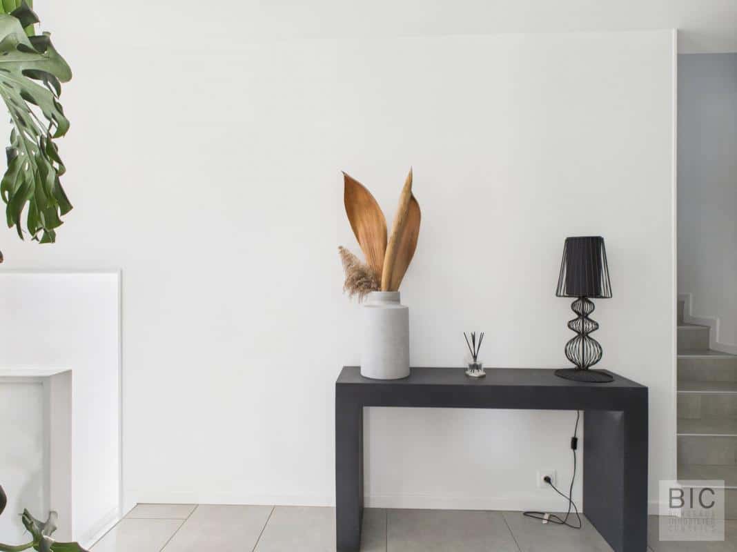 Intérieur d'une maison moderne avec un meuble noir, un vase et des plantes décoratives.