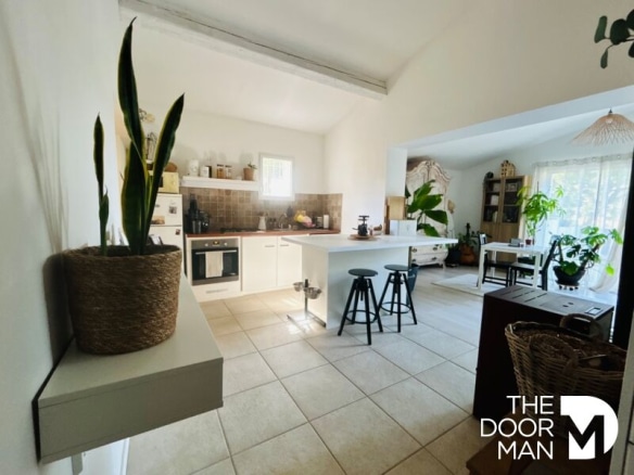 Cuisine moderne avec îlot central et plantes d'intérieur.
