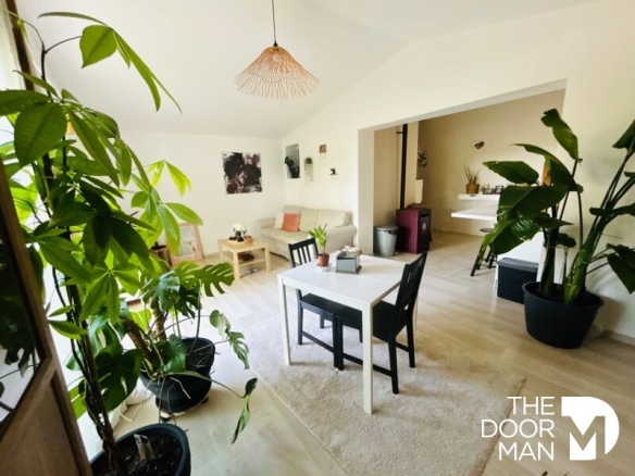Intérieur d'une propriété rénovée avec des plantes et un mobilier moderne.
