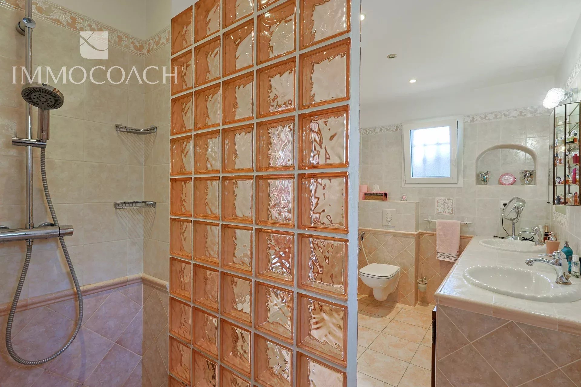 Bathroom with a glass block divider separating the shower from a double-sink vanity area.