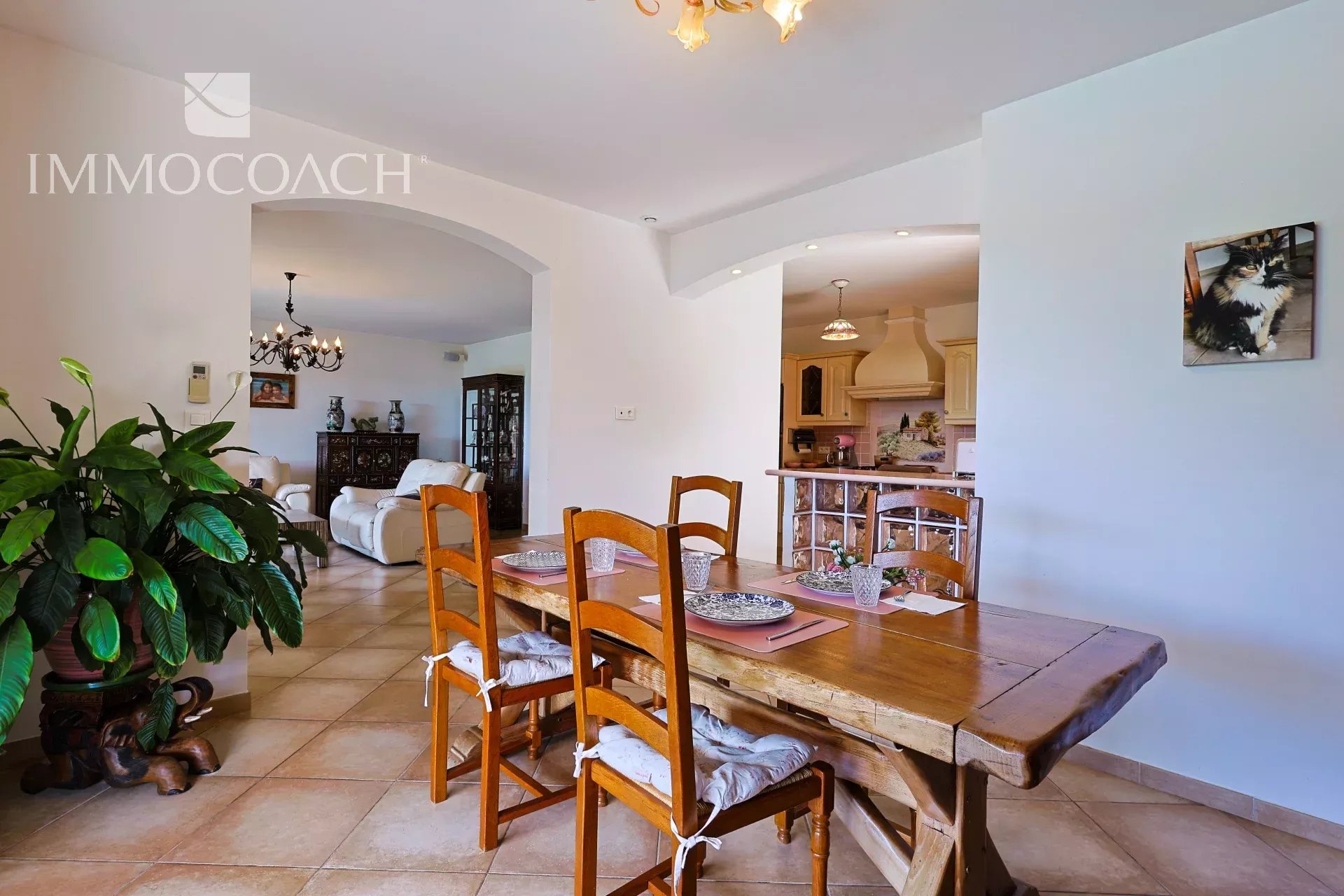 Open-plan dining area with a wooden table and six chairs, a large green plant on the left, and archways to a living room and kitchen in the background.