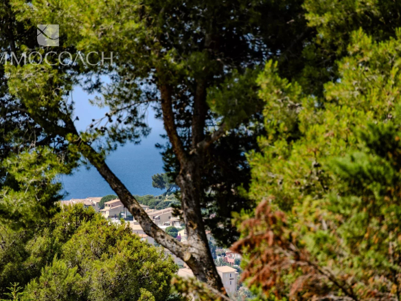 Vue partielle de la mer à Carqueiranne à travers des arbres.