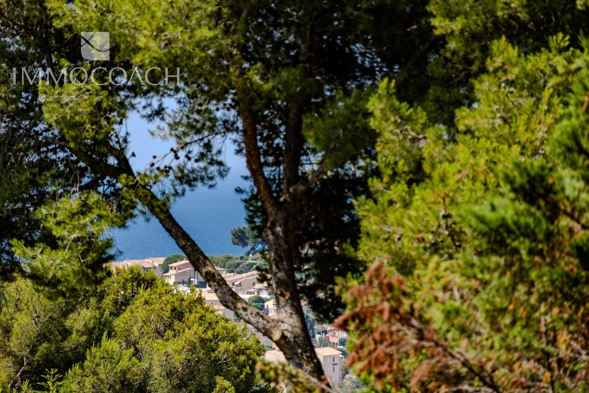 Vue partielle de la mer à Carqueiranne à travers des arbres.