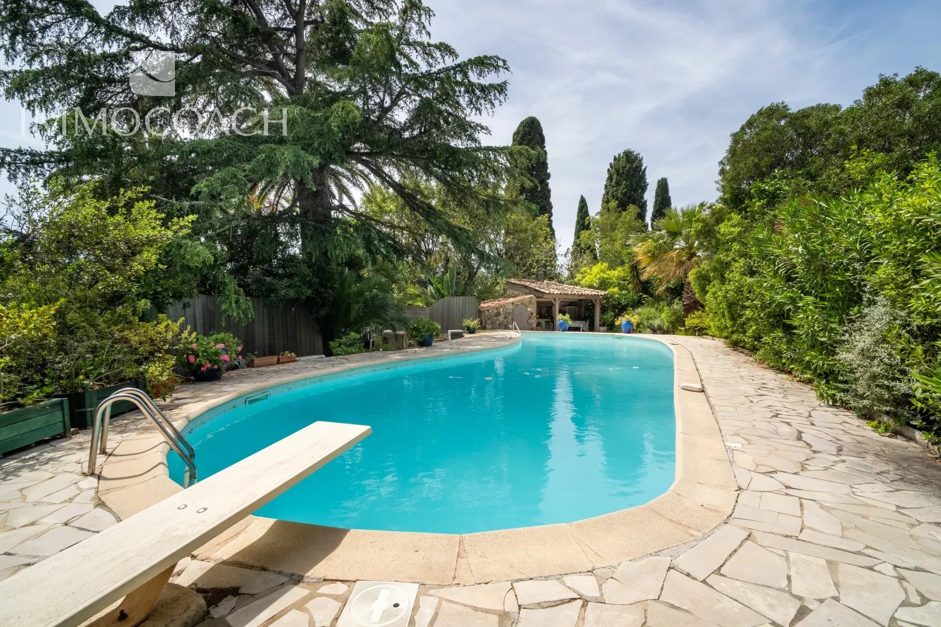Swimming pool of 14x4 meters surrounded by greenery in a property in Carqueiranne.