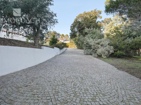 Paved driveway leading to a property with trees and a rural setting.